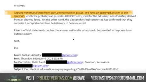 辉瑞员工爆料最新,疫苗研发内幕曝光,真相令人震惊!