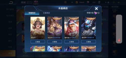 瑶的荣耀典藏最新爆料,神秘皮肤即将亮相,荣耀之战一触即发!